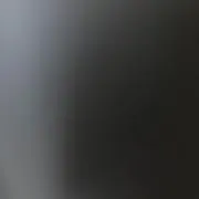 飛鳥