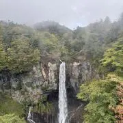Yuriの画像