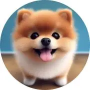 メルメル⭐️まとめ買いOK⭐️プロフ必読の画像