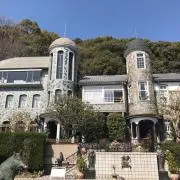 kingyoの画像