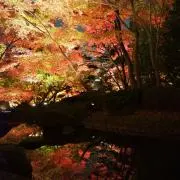 ゆう