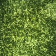 りば【断捨離中！！】