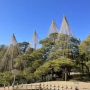 やまぺんの画像