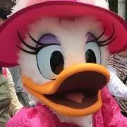 にゃんの画像