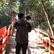 N.O.R.Iの画像