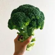 ふじの画像