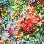 紡の画像