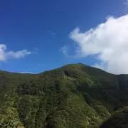 トレトレ