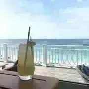 とらさんの画像