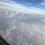 わかな