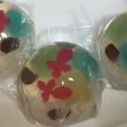 まりもの画像