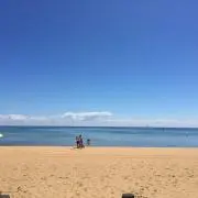 メコの画像