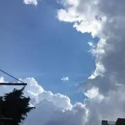 dahの画像