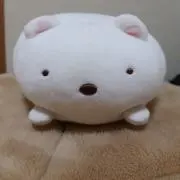ころたんの画像
