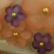 【即購入可】