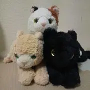 ゆきにゃん（☆プロフ一読ください）の画像