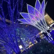 CAN➳♡゛プロフ必読