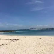 海好きの画像