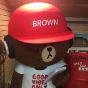 ゆきんこの画像