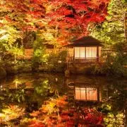りょうすけの画像