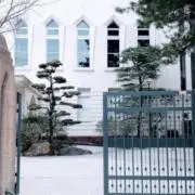 RN⭕️急ぎ便対応可（PF参照）の画像