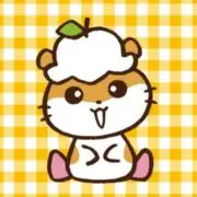 Riiの画像