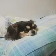 maritiro