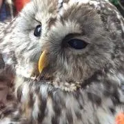 ふわまる♥(°´ ˘ `°)/