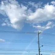 tyの画像