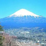 みおんママ(パパ)