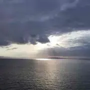 とまりんの画像