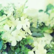 TOSHIの画像