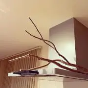 リュウ