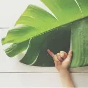 hello☺︎の画像