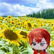 Luuuの画像