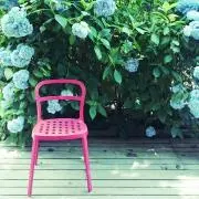 まめもこ7の画像