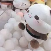 su-の画像