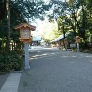 テングサの画像