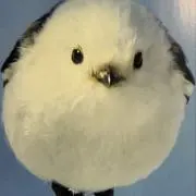 なたの画像