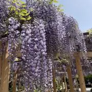 san88☆の画像