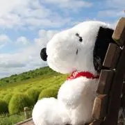 Goooon