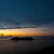 拓
