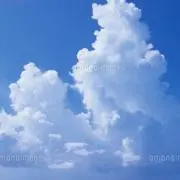 NN