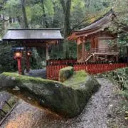 kodomoの画像