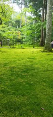 ジェニファー坂本さんの画像