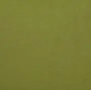 ☺︎みどり☺︎の画像