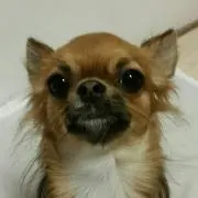 ジュン