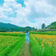 はるたろうの画像