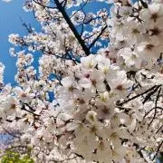 Kの画像