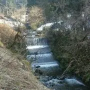坪野
